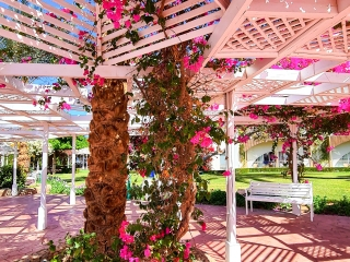 Athoniki Villas